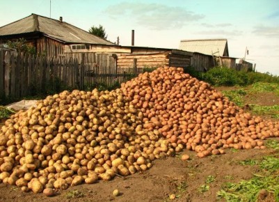 ��� ����� ����� � ��������: ����� ��������� ���������