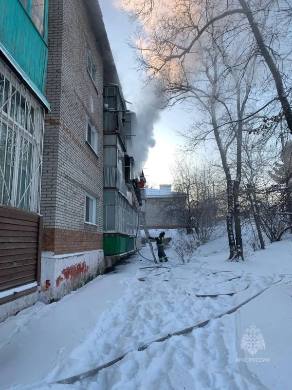 5 ������� ������ �� ����� ������ � ���������� � ���� ������