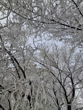 ������ ����!. ����: ������ ������� #���������������