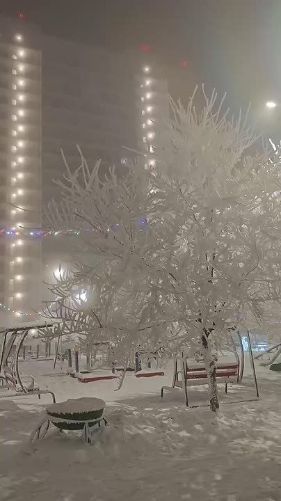 ������ �� 22 ������. ������� ������ �� �������