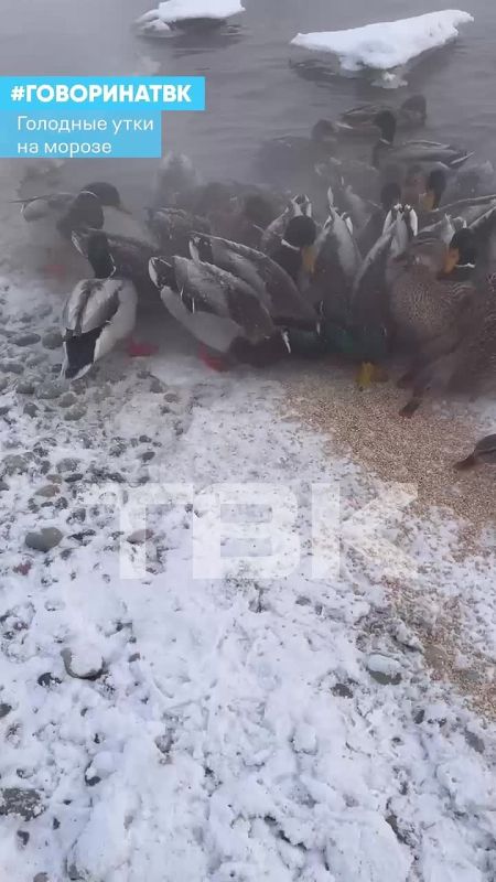 ���� ��������� �� ���������� ���� � �����������