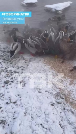 ���� ��������� �� ���������� ���� � �����������