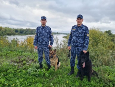 ���������� ����-3 �������� �������������� ��������� ���� ������ �� �������� ������� � ������� ���������������, ����������� � ��������� �������� �� ������� ���������� ��������