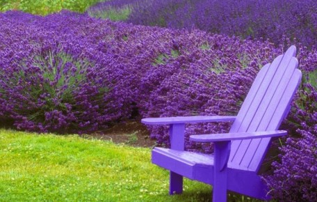 �� ������� � ��������: ����� ��� ������������� � ����� ������, � �� ������