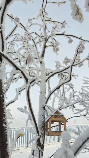 ������ �� 23 ������. ���