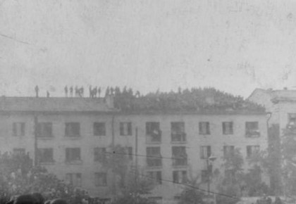 ���������� ���������� �� ����� ���� (1964 ���)