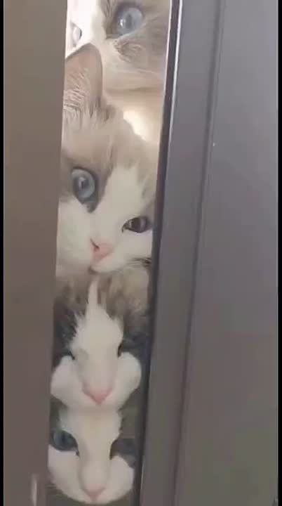 ���������� �������, ����� ������ �� ����� �������