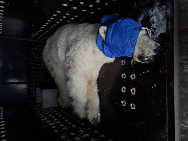 �������� ��������� ������� ����� ����� ���� �� ������� � ������������ ����