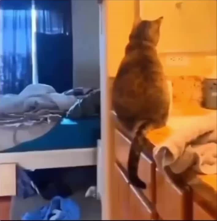 � �� ����� �������, ��� ��� ������� �� ������ �� ����?