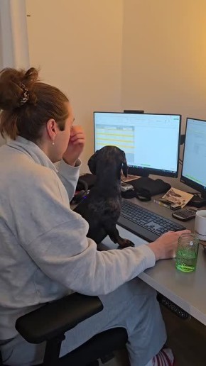 Доброе утро!. Когда тебе с утра подробно объясняют планы на день, задачи и дедлайны…