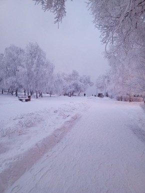 ����� ����������� ���� � ����