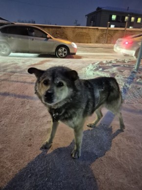 ��� ������� ������?. ��� ����������� ������ ������ ������� �������� �������� ��� �������� � ������, �� ������. �������. � ���� �������