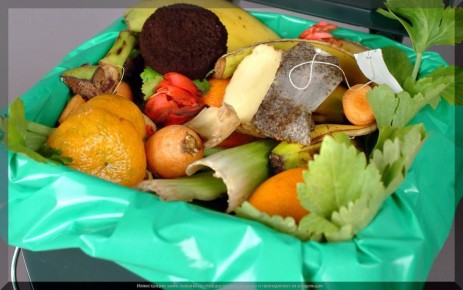 ������ ����� �������: ������ ��������� � �������� ���������� ����� � ������� ������������� ������