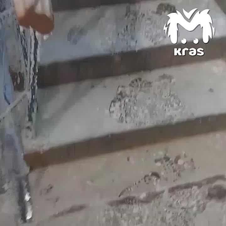 Подъезд дома в Красноярске превратился в ледяное царство: стены, лестницы и окна покрыло инеем