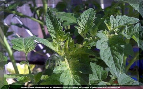 ��� ����� ����� ���������� ��������: 50 ���������� �������� � �������