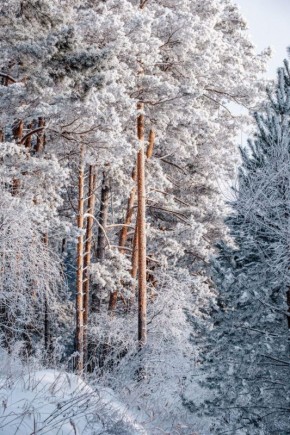 ����� ��� -40 ��������, � ����� ������� � �����