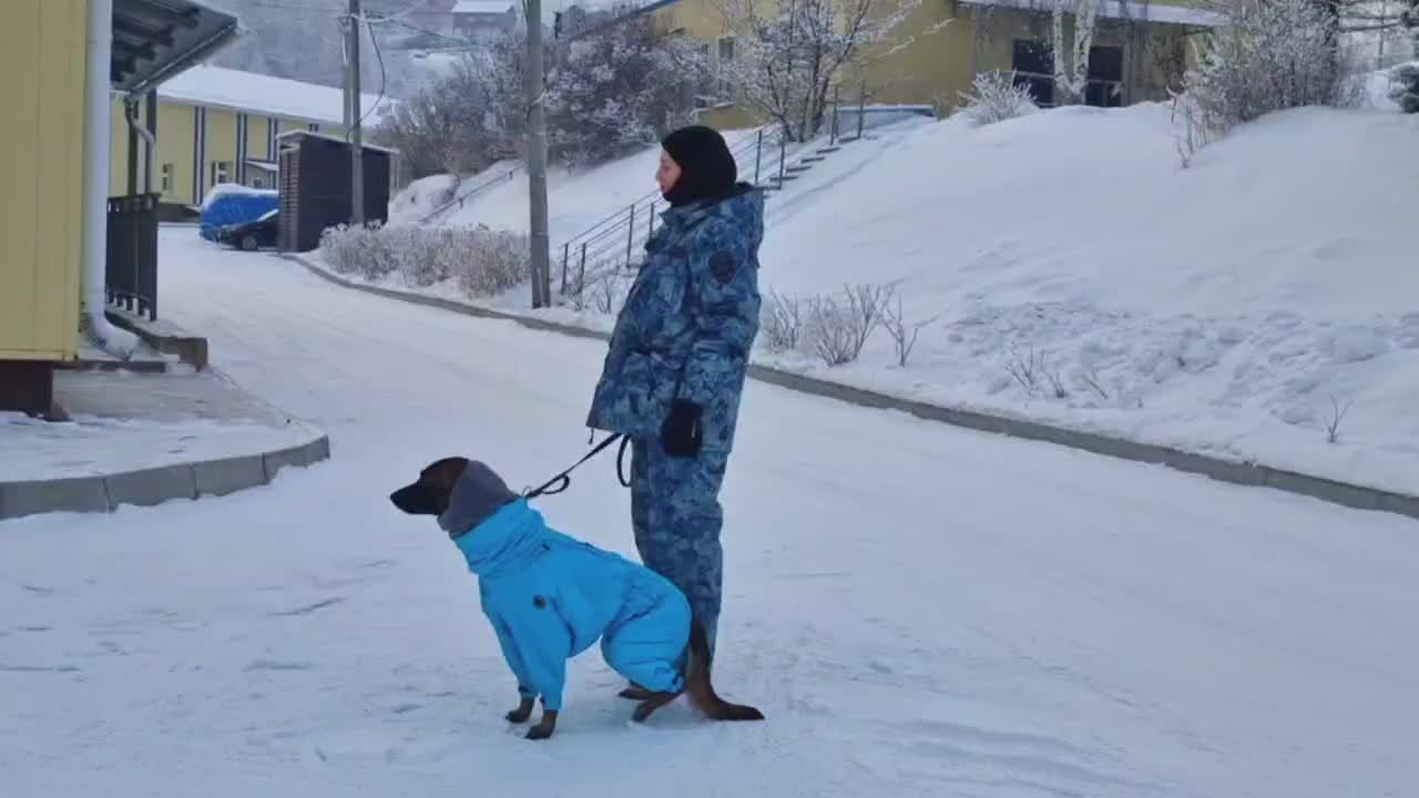 В рамках акции Студенческий десант в Красноярске полицейские провели для будущих юристов погружение в свою профессию
