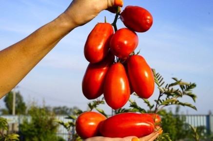 ����� � ����������� ����������: ��� ������� ���� ��� ������ �������