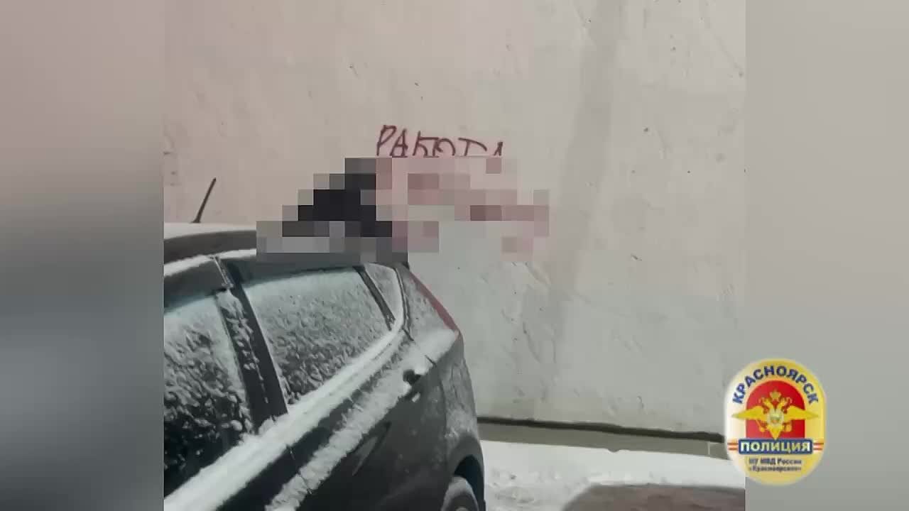 В Красноярске впервые возбудили дело за «трафаретную» рекламу наркошопов