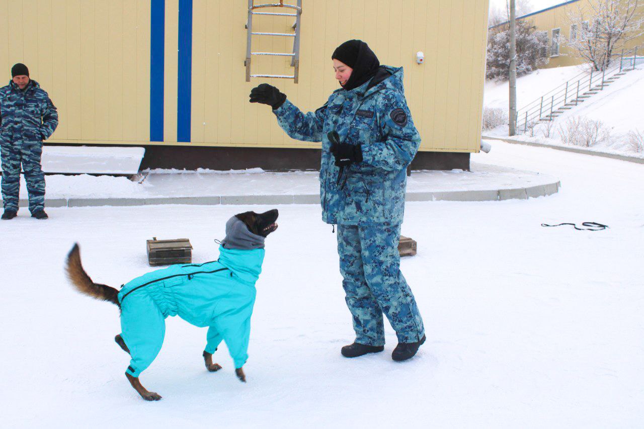 В рамках акции Студенческий десант в Красноярске полицейские провели для будущих юристов погружение в свою профессию В рамках акции Студенческий десант в Красноярске полицейские провели для будущих юристов погружение в свою профессию