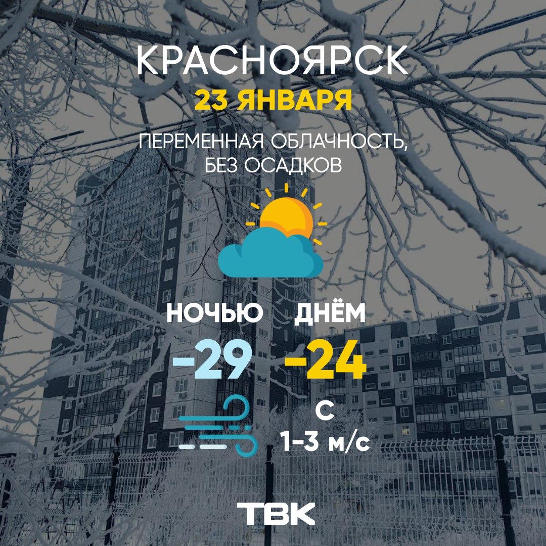 Погода на 23 января. ТВК
