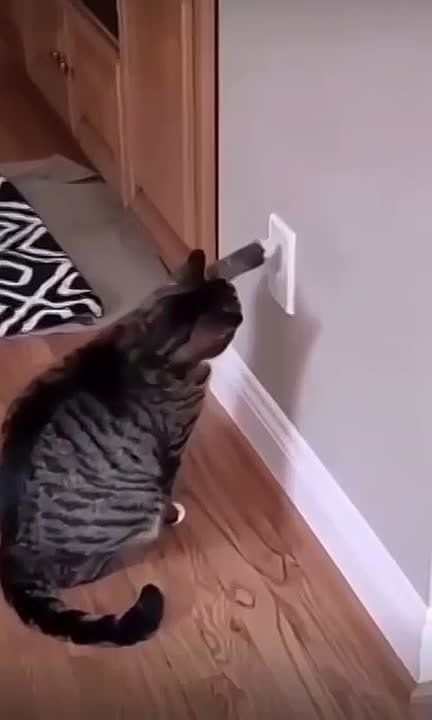 ���������� ����. ��� �����, ��� ������ ������ �������� � �������