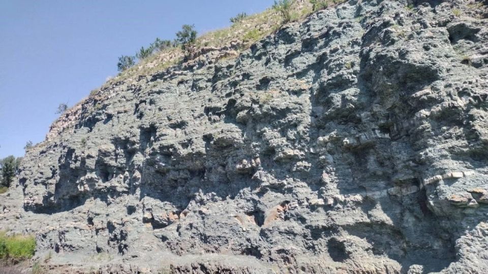 � ���� ���� � ��������� ������������� ������ �������� ����� ��������� �������: