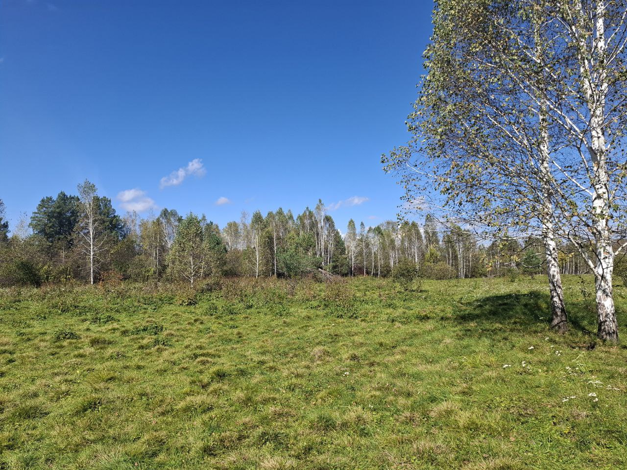 Земля под особой охраной: по искам прокуратуры государству возвращены участки в границах заказника «Кебежский» Земля под особой охраной: по искам прокуратуры государству возвращены участки в границах заказника «Кебежский»