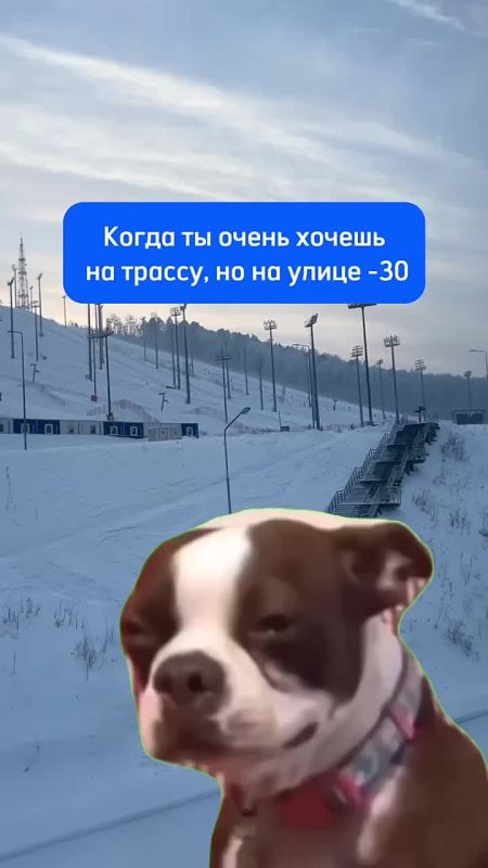 �/�� ����������, ������� �������� ���������� �� ����� ��-�� ������