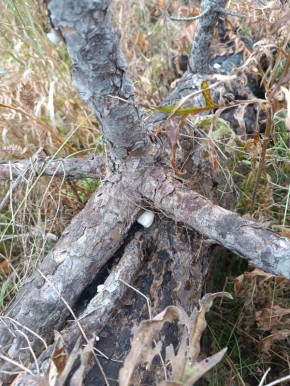 123467 �������� ���������: � ������� ����� ����� ���������� ��������� �� ��������������� ���������� � ���������� �������