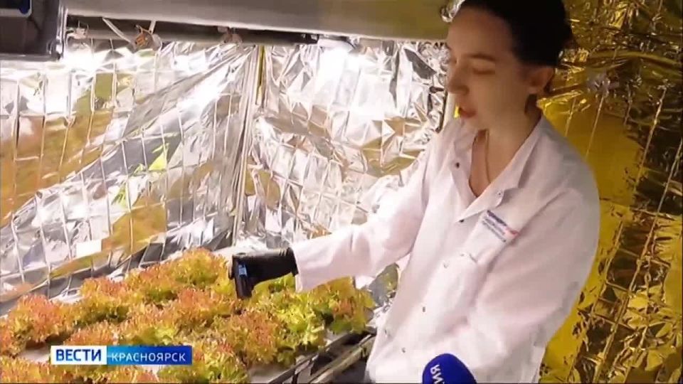 ������������ ������ ��������� ����� �� ����� ���������� � ����������� ����������������� ���������