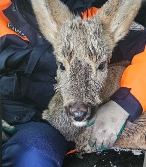 � ������� ��������� ��������� �� ���� ������