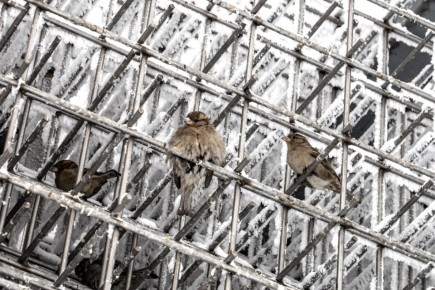 На Ярыгинской набережной находится необычный арт-объект «Дуальность»