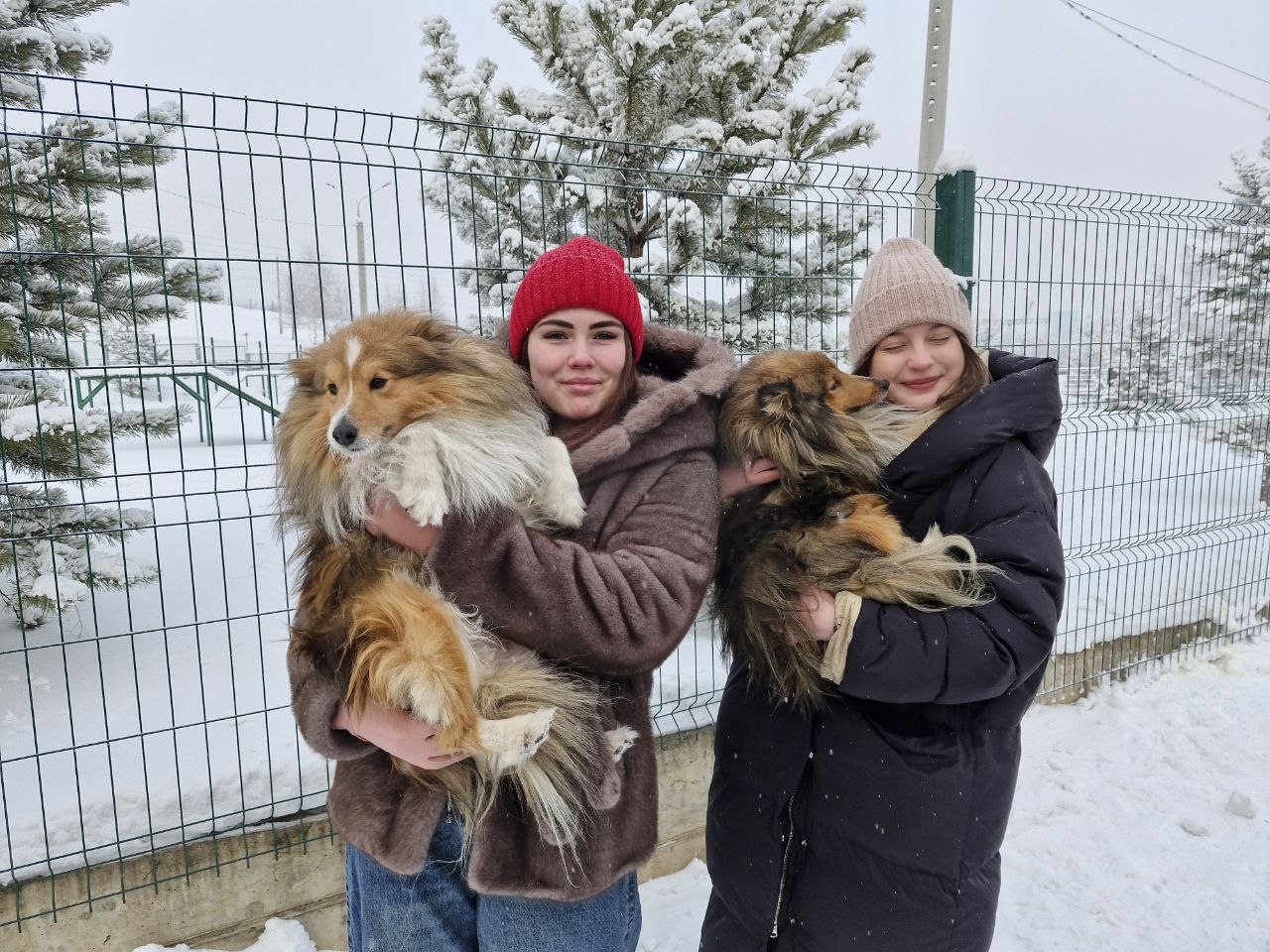 В рамках акции Студенческий десант в Красноярске полицейские провели для будущих юристов погружение в свою профессию В рамках акции Студенческий десант в Красноярске полицейские провели для будущих юристов погружение в свою профессию