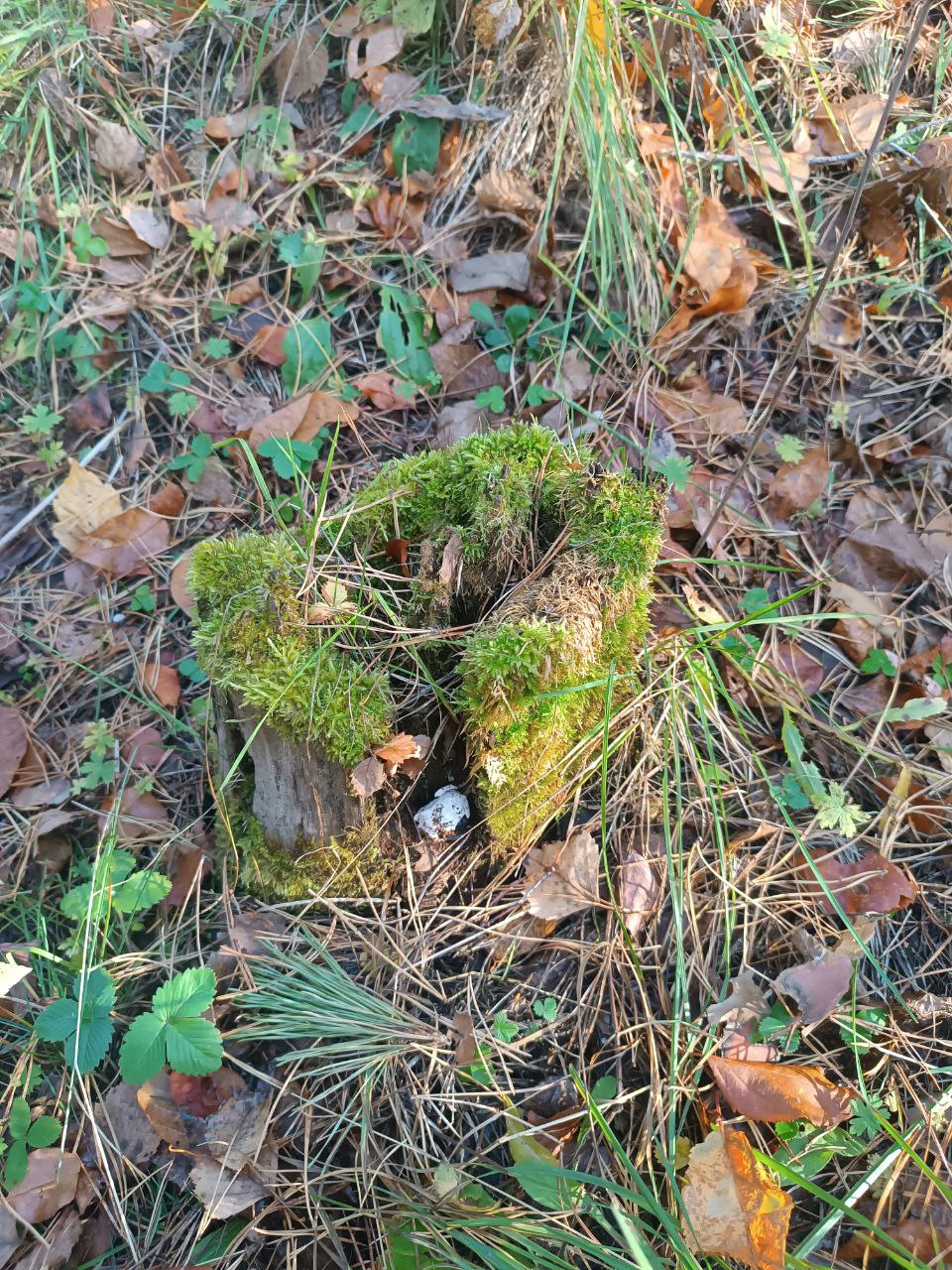 123467 «Быстрый заработок»: в Ачинске перед судом предстанет подросток за распространение наркотиков и «отмывание» доходов 123467 «Быстрый заработок»: в Ачинске перед судом предстанет подросток за распространение наркотиков и «отмывание» доходов