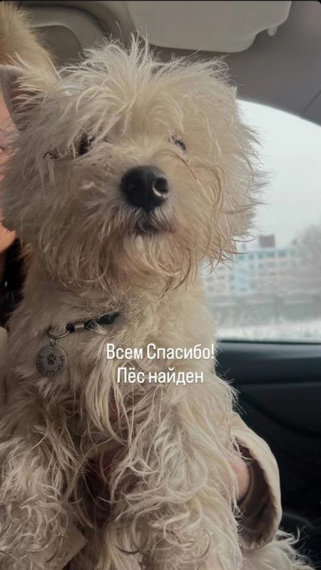 �� �����, �� ������ ����� ������ �������