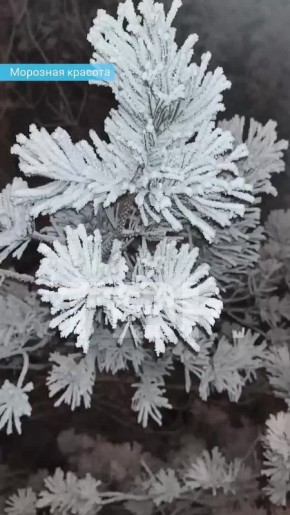 �������� ������ �� ������. �� ����������� ����� ���������� ���������� ��������� ���