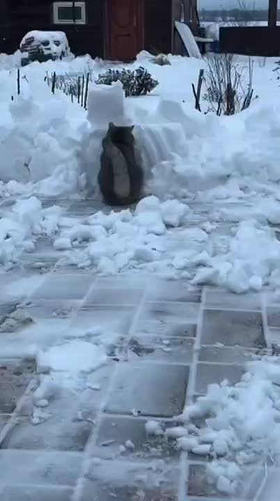 Доброе снежное утро. ТВК