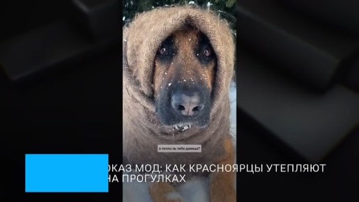 ������ �������� � ����� � ���������!