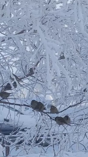 ������ �� 25 ������. ���