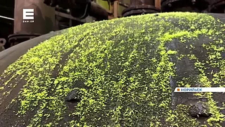 ��������� �������� ���������� ���������� ��������� �� ���������