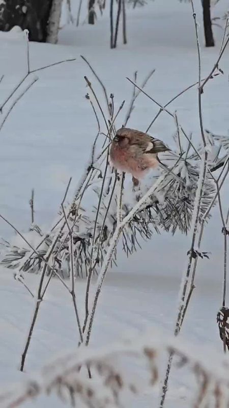 ������� ���� ������ � ����� ������ ��������� ������� �������