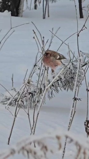 ������� ���� ������ � ����� ������ ��������� ������� �������