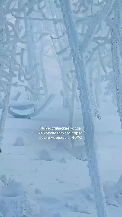 1 �������������� ����� ������������ ���� � ����������� ������������ � ����