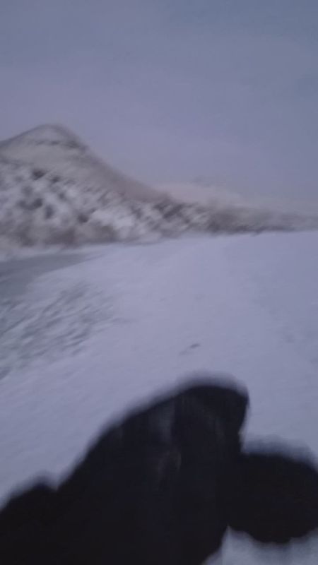 "�������" ��������, ������ ������� ������