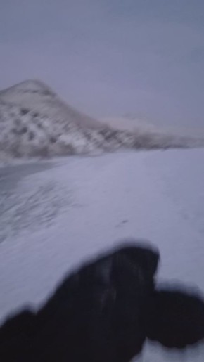 "�������" ��������, ������ ������� ������