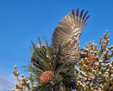 �������������� �������������! ������������� ������ ���� ����������� �� ��������� ������� ������ ������