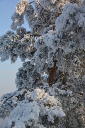 ������������ �������� �������� ��� � �����!