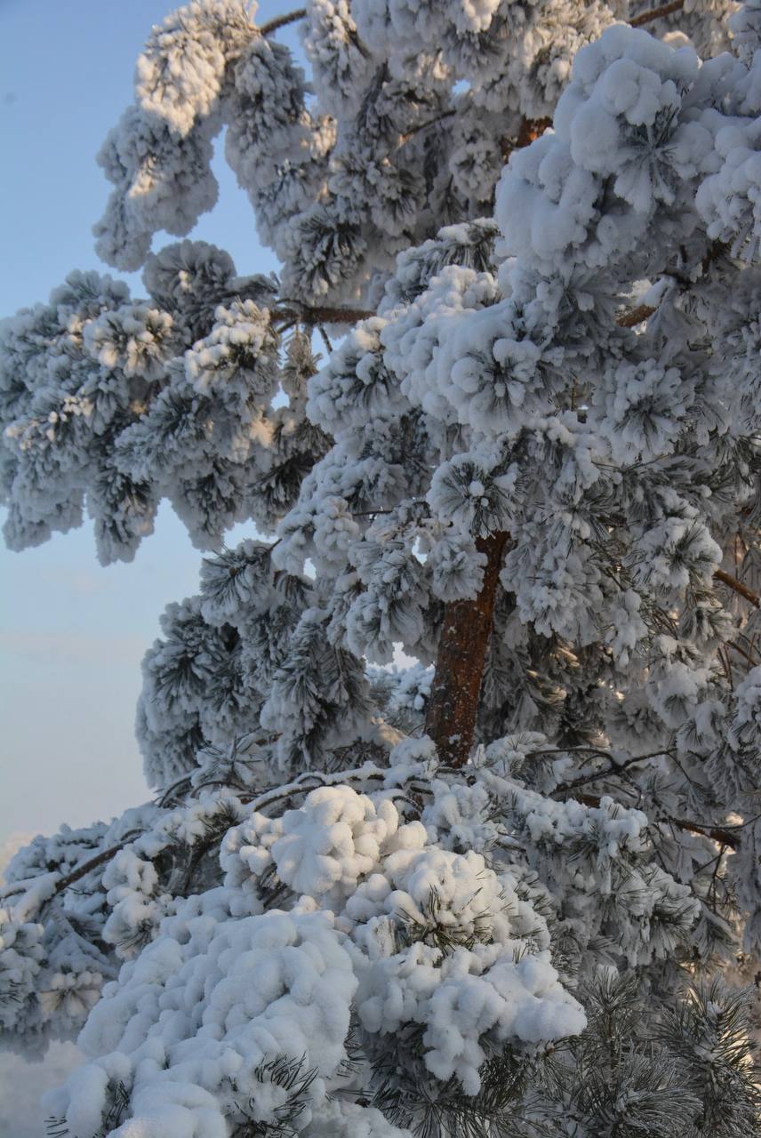 Красноярских морозных пейзажей вам в ленту!
