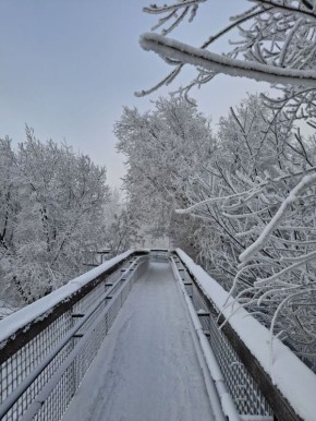 ������ ����!. ����: ������ ������� #���������������